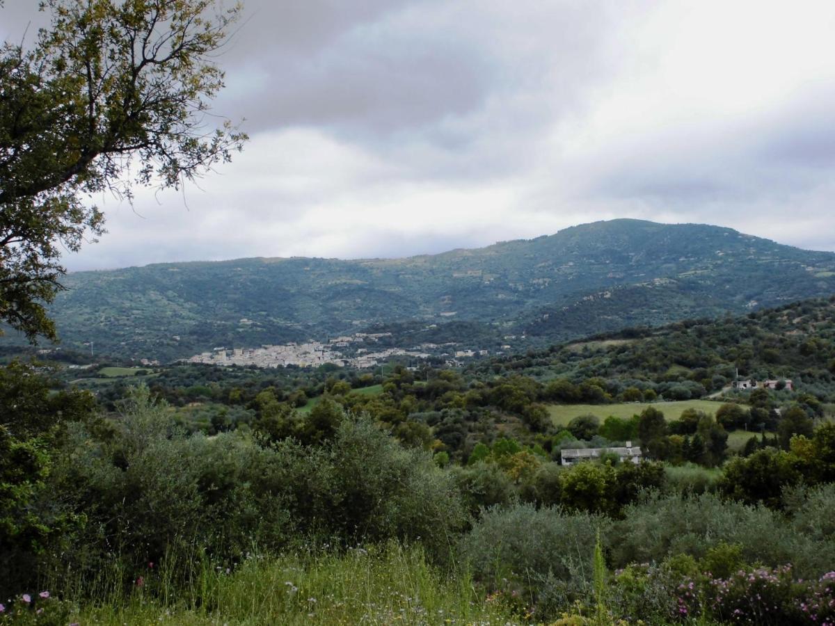 Agriturismo Vigna De' Luceri Loceri المظهر الخارجي الصورة