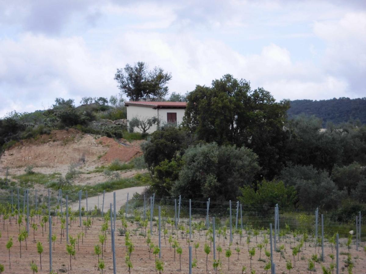 Agriturismo Vigna De' Luceri Loceri المظهر الخارجي الصورة