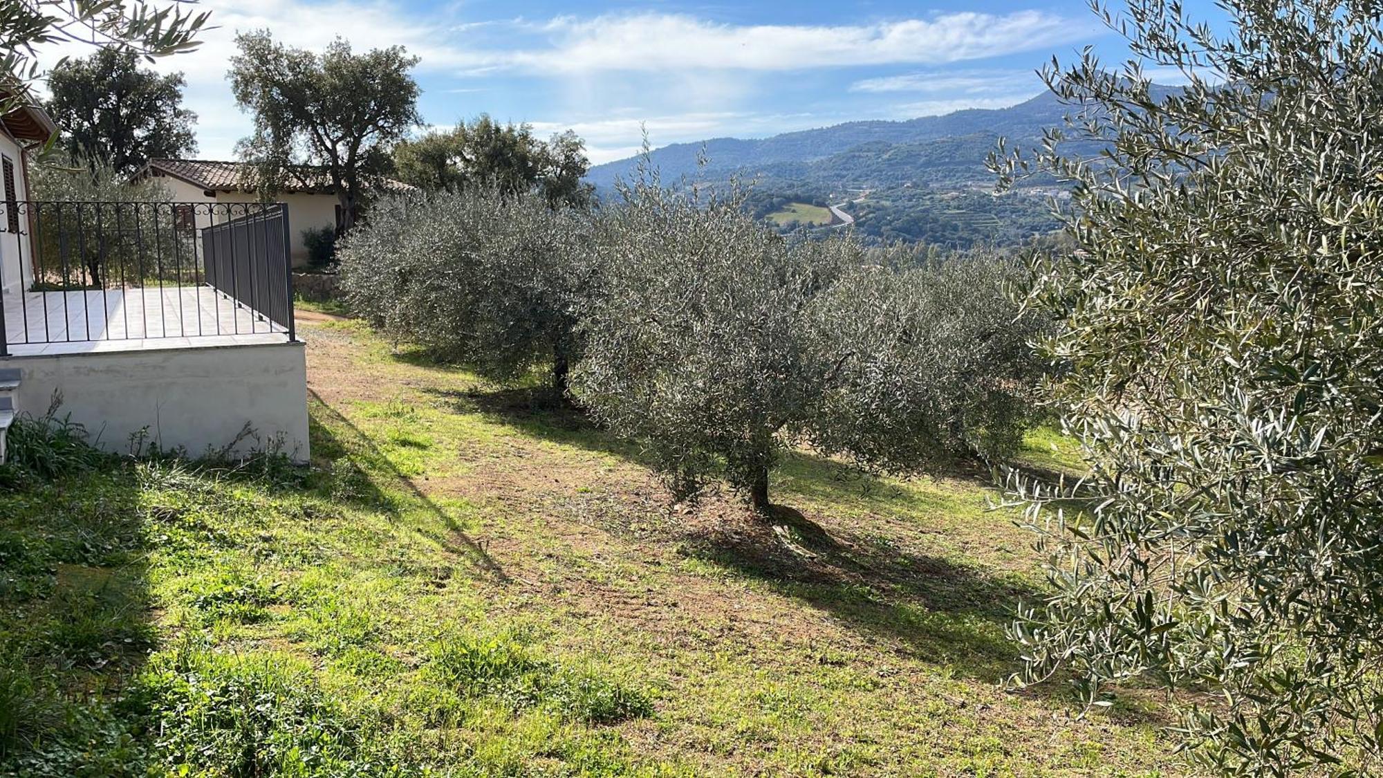 Agriturismo Vigna De' Luceri Loceri المظهر الخارجي الصورة